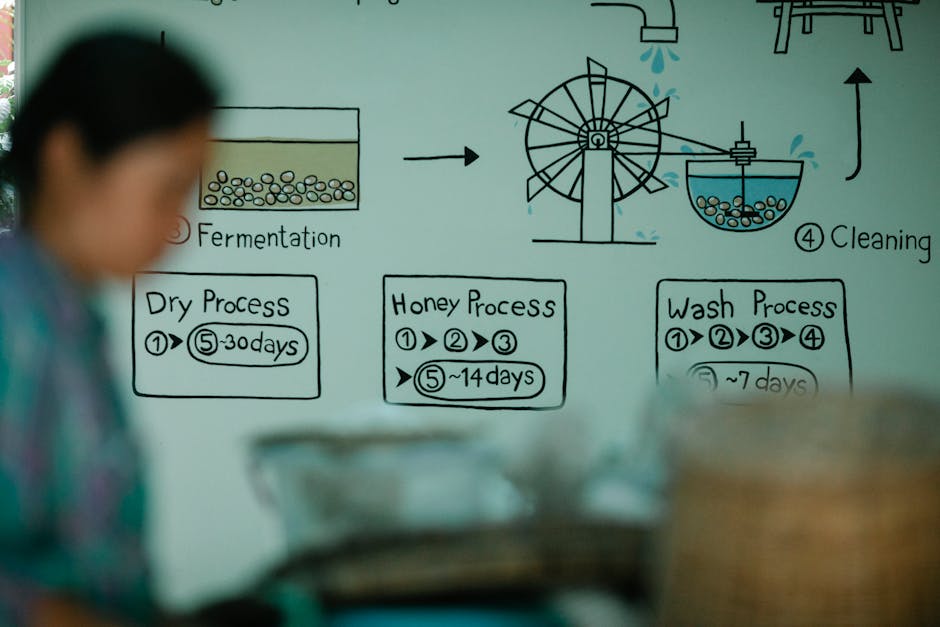 Workflow diagram on whiteboard