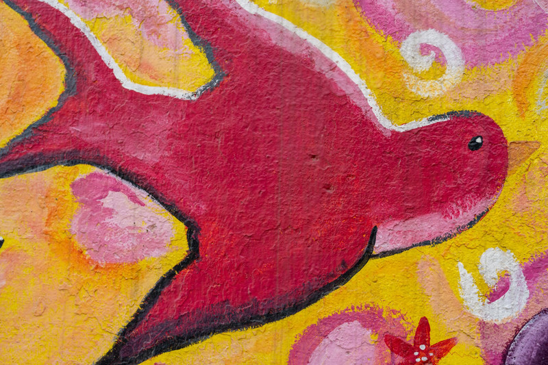 Whimsical Bird Mural