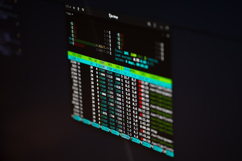 Gopher MCP Server terminal interface showing protocol communication