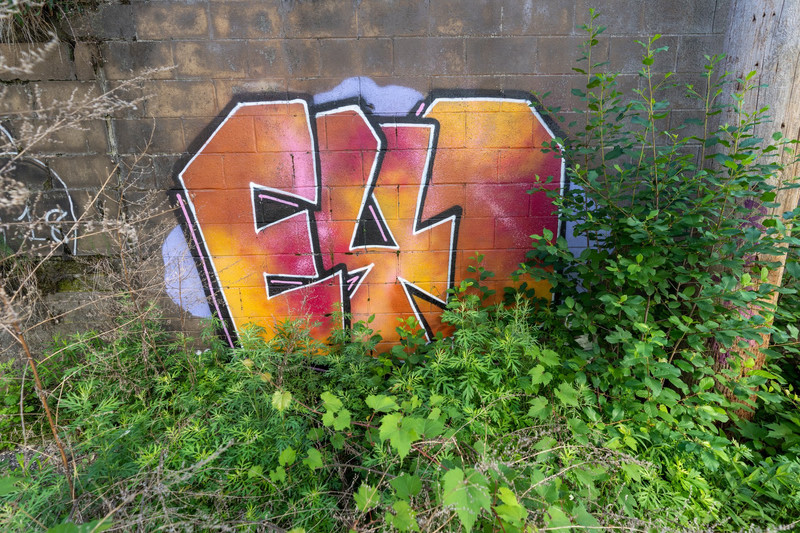 Urban Graffiti Art